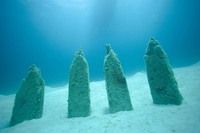 Ribs of a wooden ship wreck by Stephen Giordano 